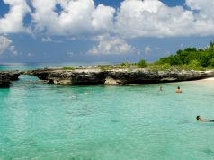 Smith’s Cove Grand Cayman for Travelers Who Prefer Quiet Beauty Over Crowded Beaches Grand Cayman Smith's Cove secluded beach