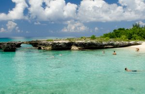Smith’s Cove Grand Cayman for Travelers Who Prefer Quiet Beauty Over Crowded Beaches Grand Cayman Smith's Cove secluded beach