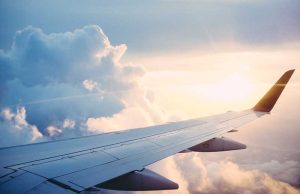 Best Spots to See Wildlife in the U.S. 7