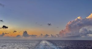 Aft-Facing Cabins: The Best Seat on the Ship If you’re the type of traveler who prefers a panoramic view of the world you’ve just conquered rather than staring at the empty horizon ahead, an aft-facing cabin is your ultimate sanctuary.