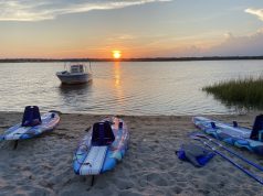 Private vs. Cruise Line Shore Excursions: The Myth Cruise Lines Hope You Never Question shore excursions shark tooth island