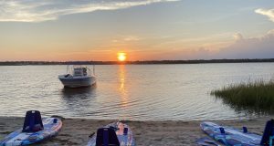 Private vs. Cruise Line Shore Excursions: The Myth Cruise Lines Hope You Never Question shore excursions shark tooth island