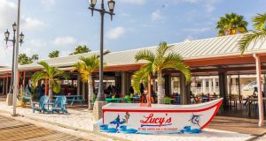 Lucy’s Retired Surfers Bar in Aruba: The Perfect Place to Grab a Drink and Wi-Fi Lucy’s Retired Surfers Bar in Aruba