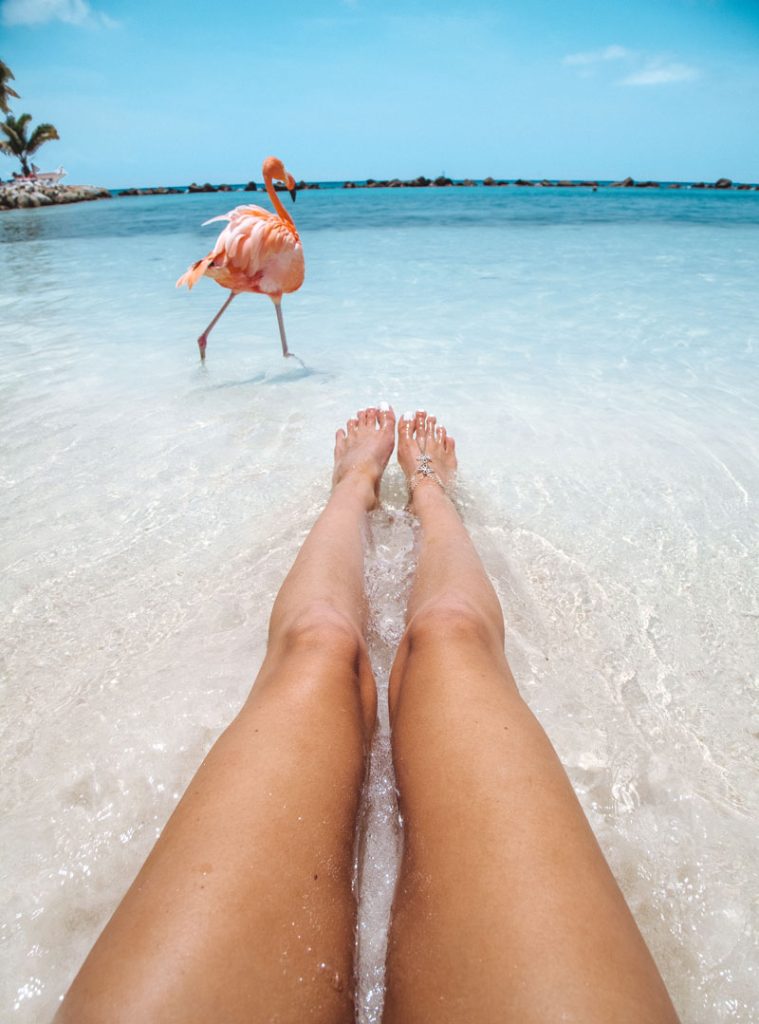 https://spaceatravels.com/wp-content/uploads/2026/03/starfish_beach_grand_cayman.jpg