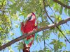 Costa Rica Travel Guide: Living La Vida Loca in Paradise space a travel costa rica tambor1
